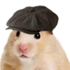 🐹