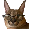 🤓