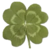 🍀