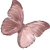 🦋