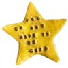 🌟