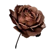 🌹