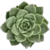 🍀