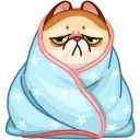 😿