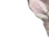 ⭐