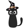 🐈‍⬛
