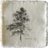 🌳