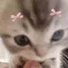 🎀