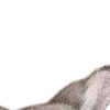 ⭐