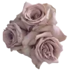 🌹