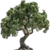 🌳