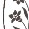 🌺