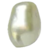 🐚