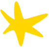 🌟