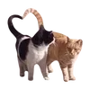 🐱
