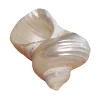 🐚