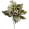 🍀