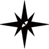 🌟
