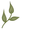 🌱