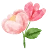🌷