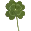 🍀