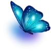 🦋