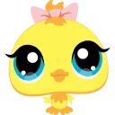 🐤