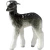 🐑