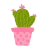 🌵