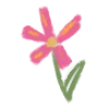 🌷