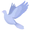 🕊