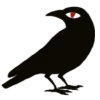 🐦‍⬛️