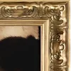 🖼️
