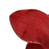 💋
