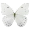 🦋