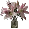 🌸