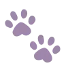 🐾