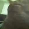 🚬