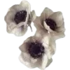 💐