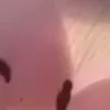 ⭐