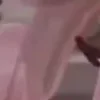 ⭐