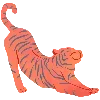 🐅