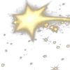 🌟