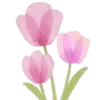 🌷