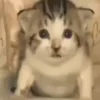 💥