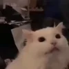 😬