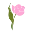🌷