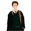 🙋