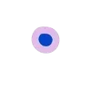 🟣