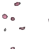 ⭐